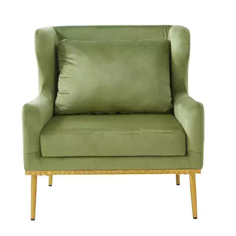 Fauteuil moderne en velours avec oreiller, silhouette incurvée, cadre en fer, assise en mousse haute densité, capacité de 150 kg