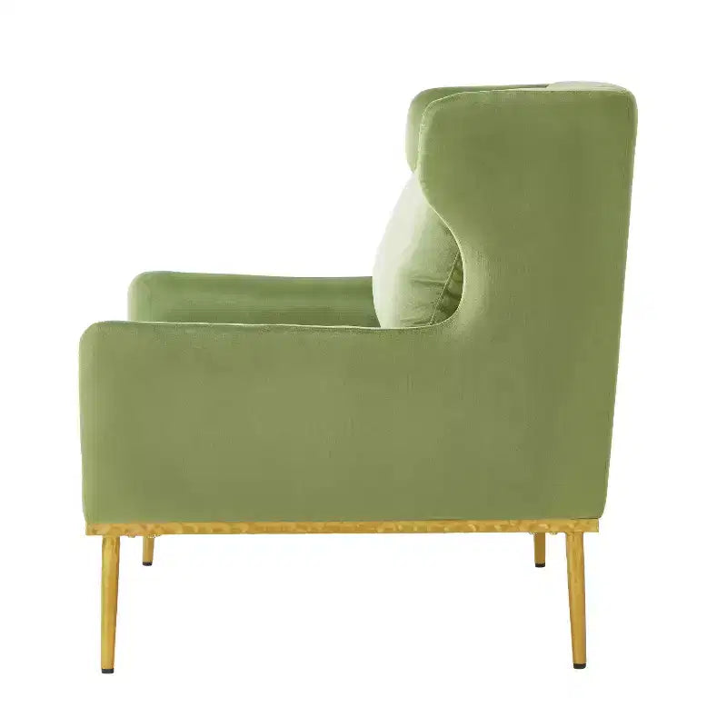 Fauteuil moderne en velours avec oreiller, silhouette incurvée, cadre en fer, assise en mousse haute densité, capacité de 150 kg