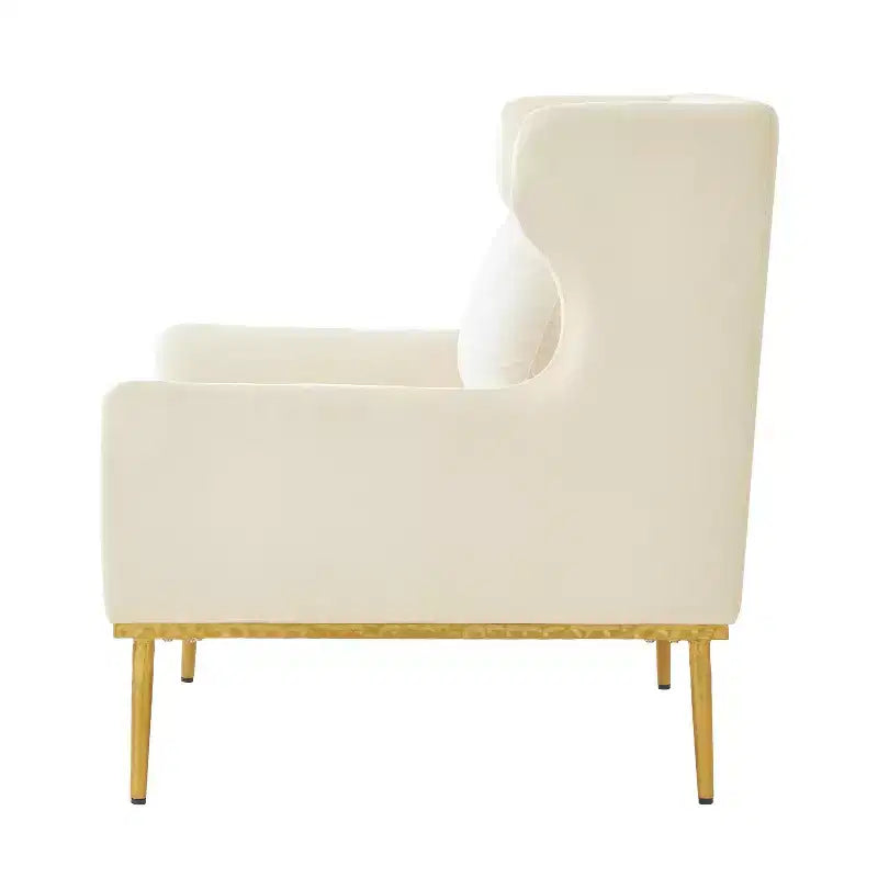Fauteuil moderne en velours avec oreiller, silhouette incurvée, cadre en fer, assise en mousse haute densité, capacité de 150 kg